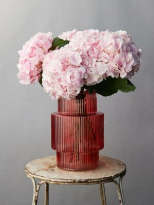 Hydrangea Bouquet by Frida's