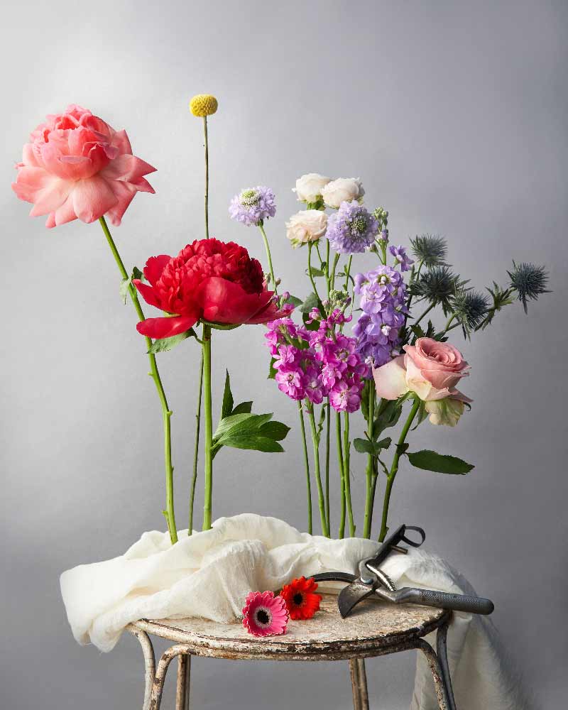 Bouquet Creativo di Frida's, libera la fantasia dei nostri floral designers