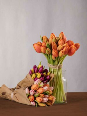 Tulip Bouquet