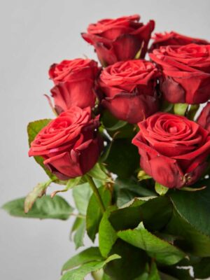 Bouquet Rose Rosse da 40cm Frida's