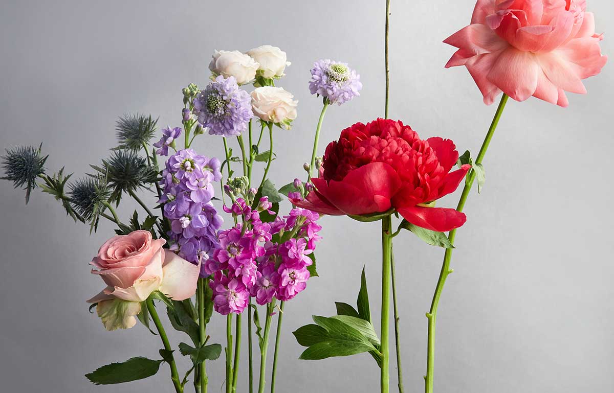 Bouquet Creativo Bouquet Creativo - Primavera 2026